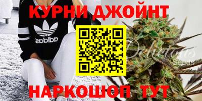 ПСИЛОЦИБИНОВЫЕ ГРИБЫ Жуковский