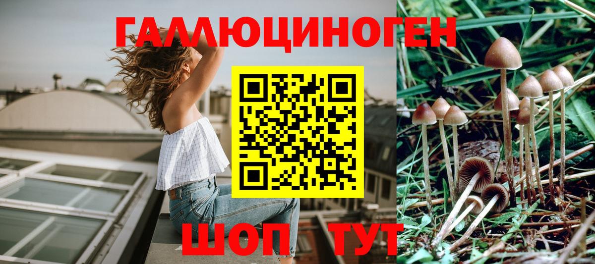 Галлюциногенные грибы мицелий Красноярск