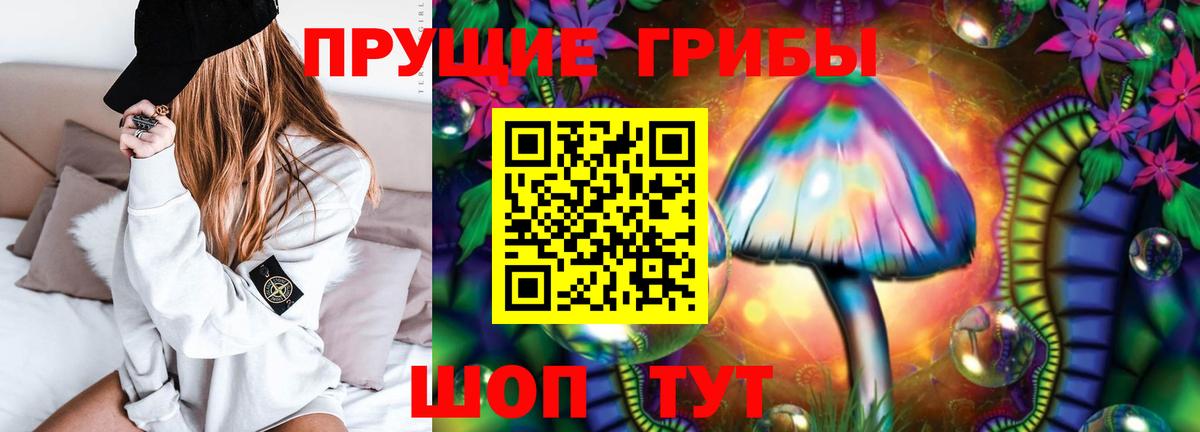 Псилоцибиновые грибы прущие грибы  Вход с VPN  Красноярск  Псилоцибиновые грибы GOLDEN TEACHER 